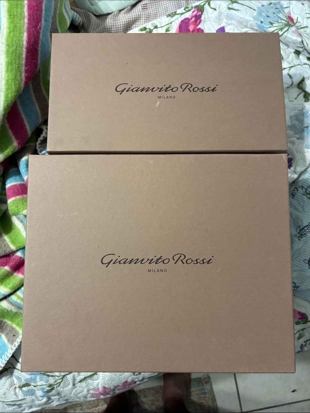 Gianvito Rossi Taupe Logo Shoe Boxes Set(LOT OF 2)
